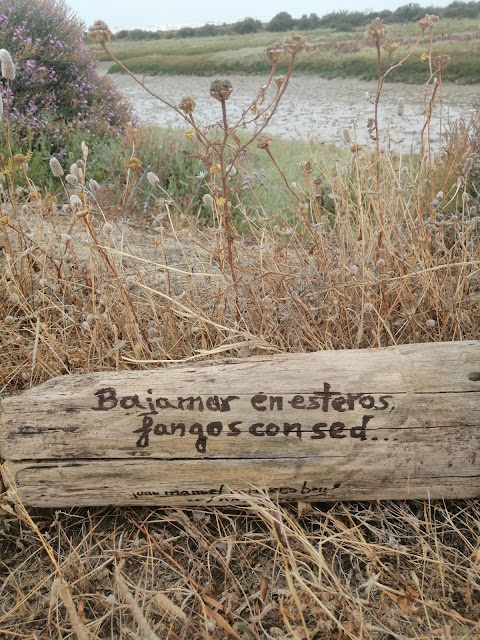 Poema Bajamar en esteros